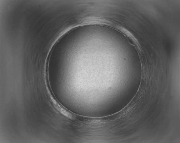 X0000084051431200702232339