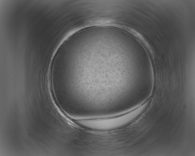 X0000084051432200702232339