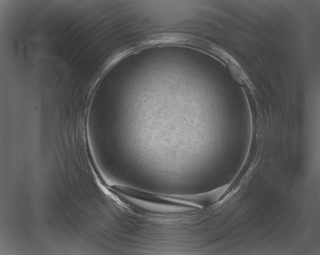 X0000084051433200702232339