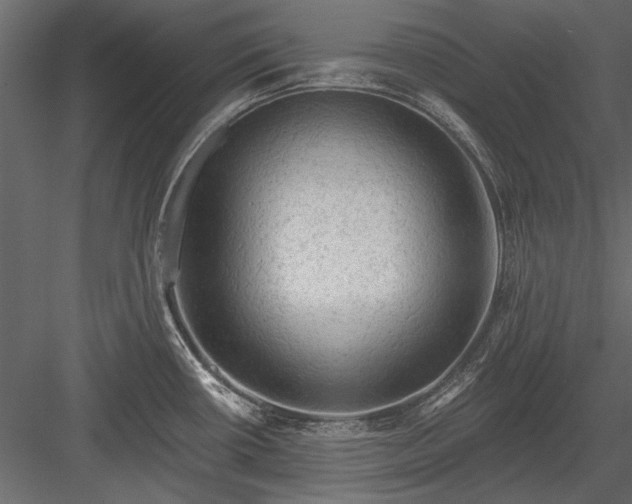 X0000084051434200702232339