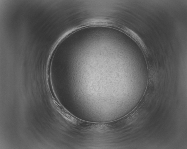 X0000084051435200702232339