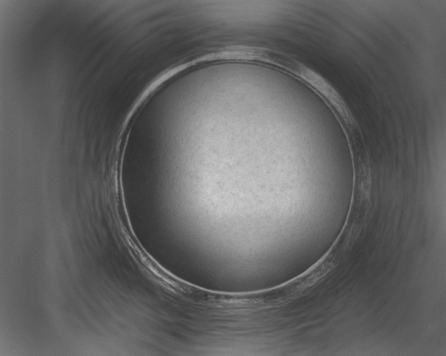 X0000084051436200702232339