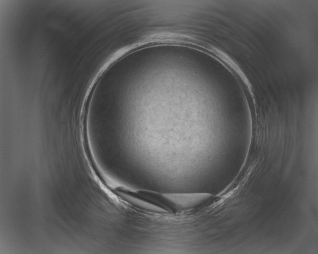 X0000084051437200702232340