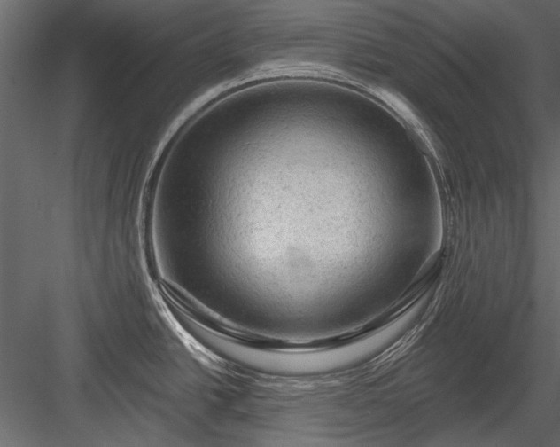 X0000084051438200702232340