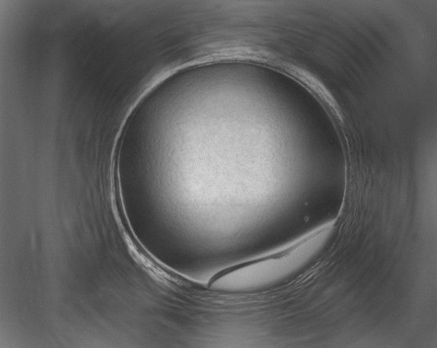 X0000084051439200702232340