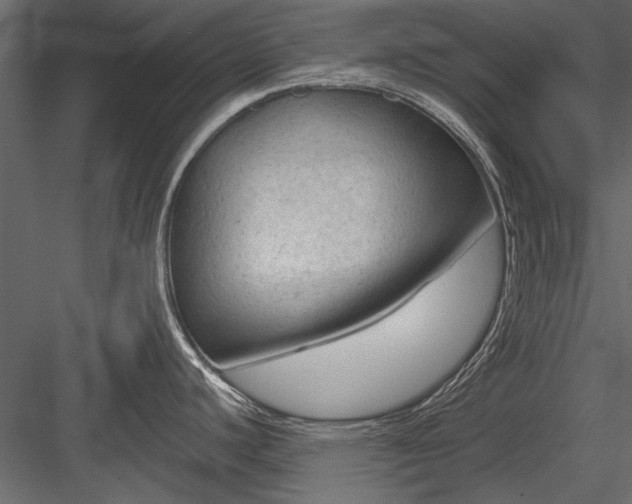 X0000084051440200702232340