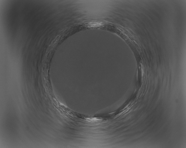 X0000084051441200702232339