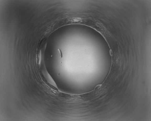 X0000084051442200702232339