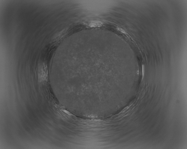 X0000084051443200702232339