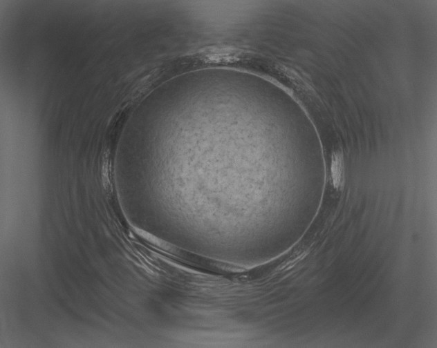 X0000084051444200702232339