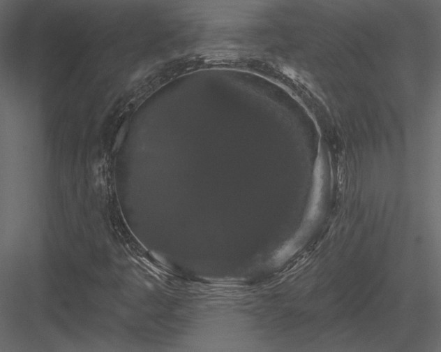 X0000084051445200702232339