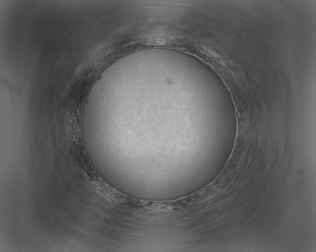 X0000084051446200702232339