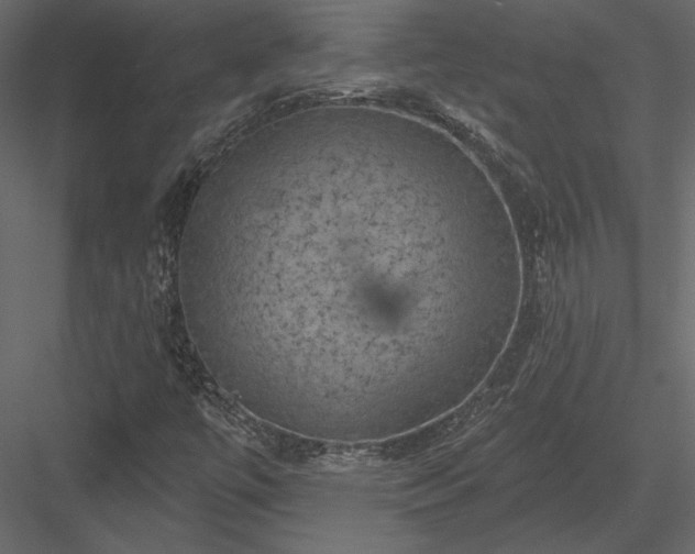 X0000084051447200702232339