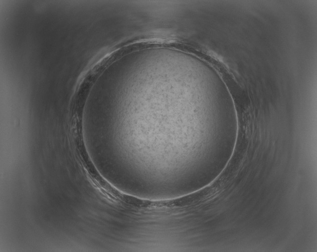 X0000084051448200702232339