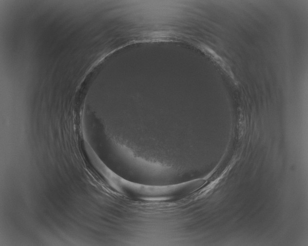 X0000084051449200702232339