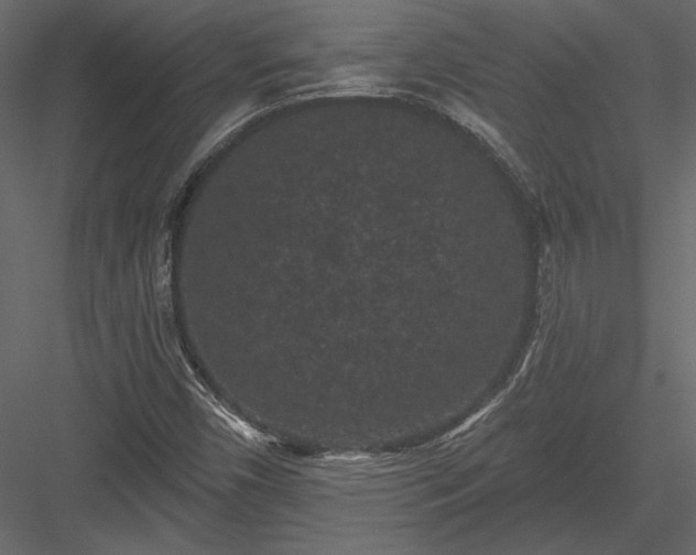 X0000084051450200702232339