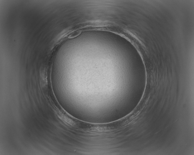 X0000084051451200702232339