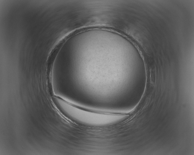 X0000084051452200702232339