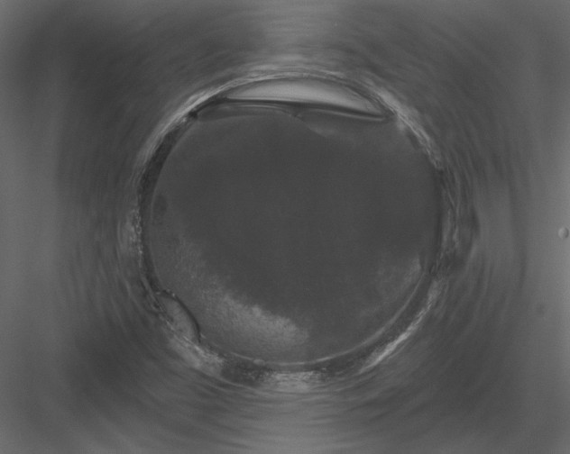 X0000084051453200702232339