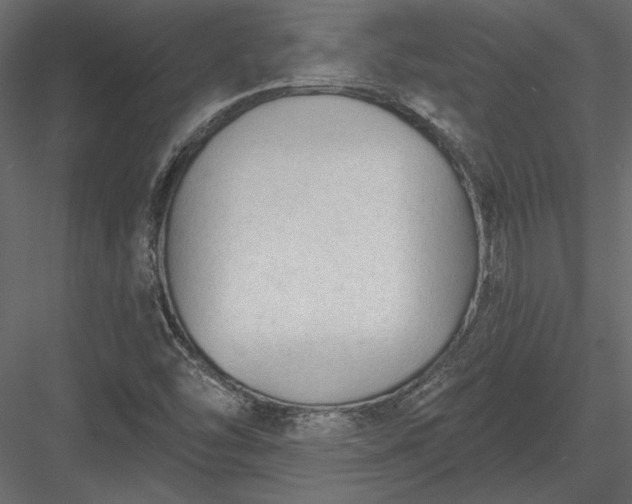 X0000084051454200702232339