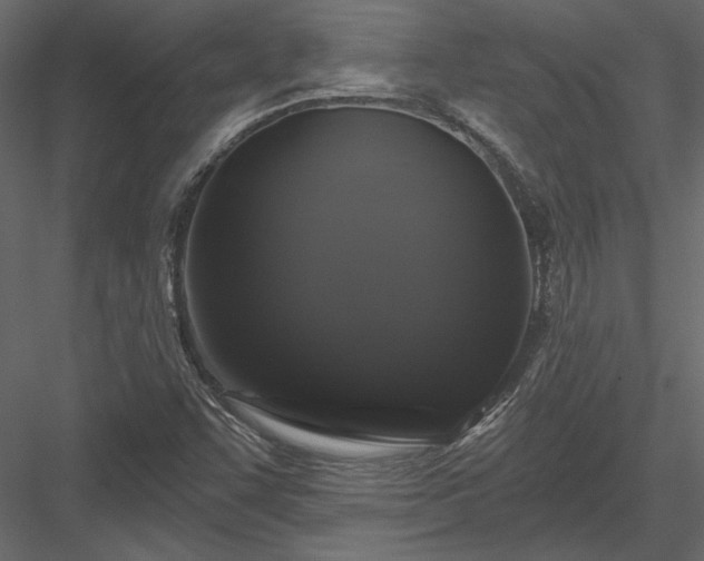 X0000084051455200702232338