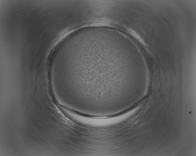 X0000084051456200702232338