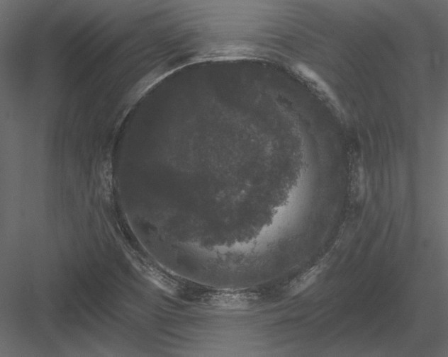 X0000084051457200702232338