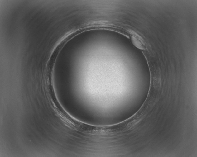 X0000084051458200702232338