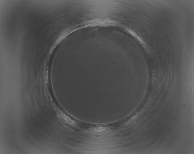 X0000084051459200702232338