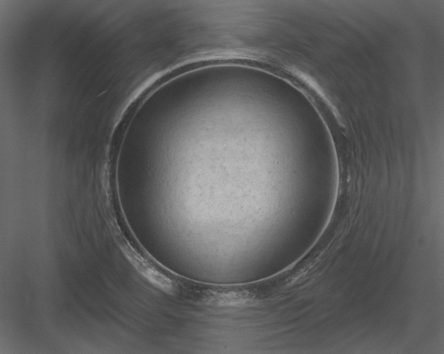 X0000084051460200702232338