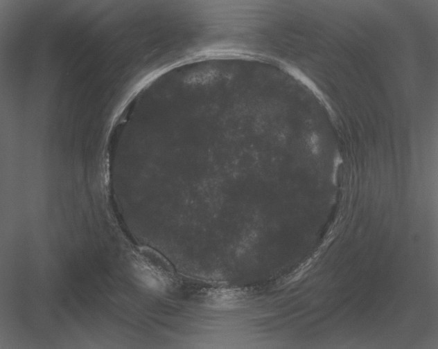 X0000084051461200702232338