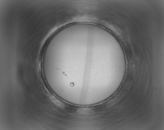 X0000084051462200702232338