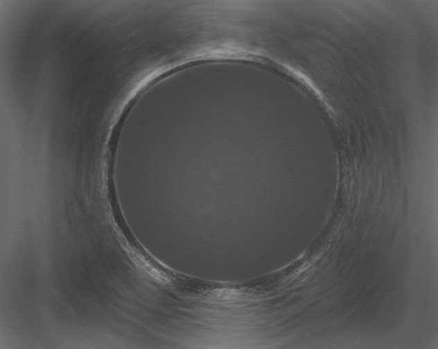 X0000084051463200702232338