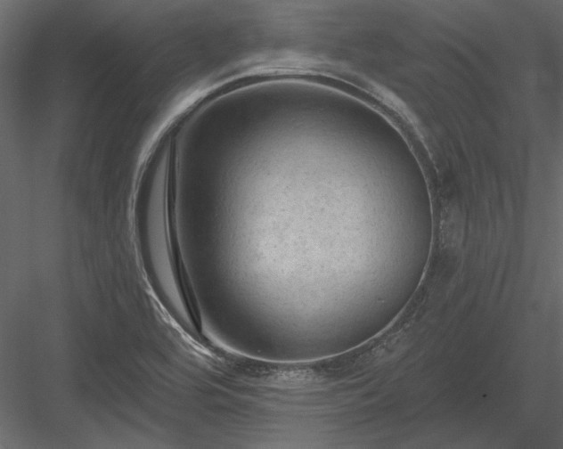 X0000084051464200702232338