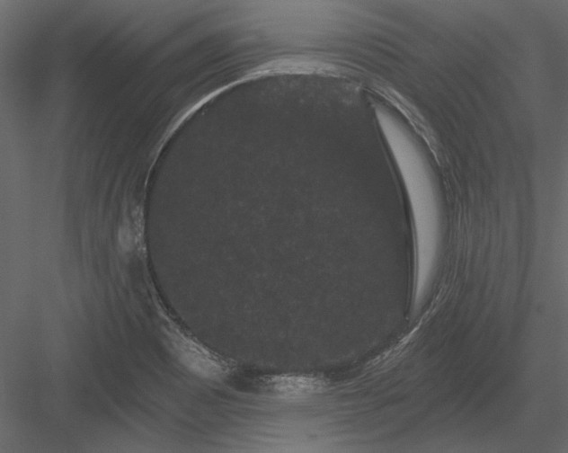 X0000084051465200702232338