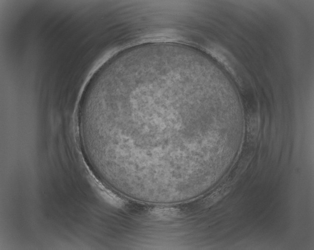 X0000084051466200702232338