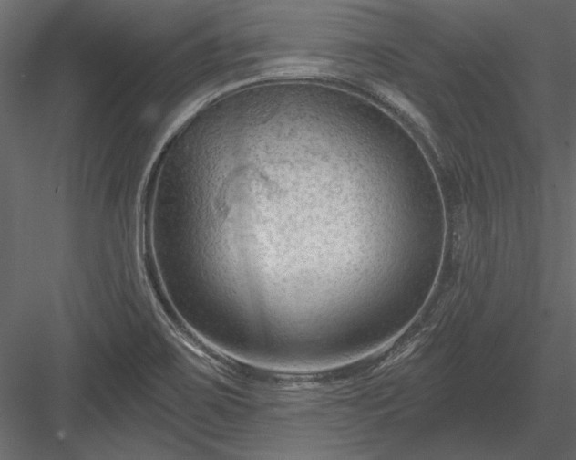 X0000084051467200702232338