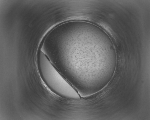 X0000084051468200702232338