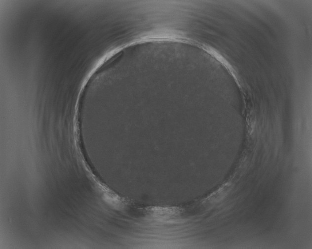 X0000084051469200702232338