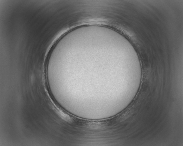 X0000084051470200702232338