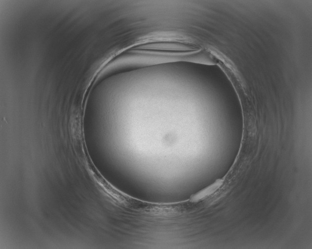 X0000084051473200702232338