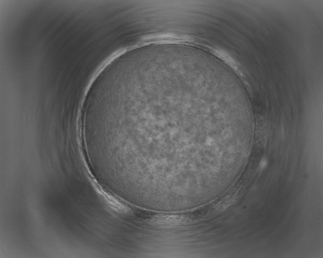 X0000084051474200702232338