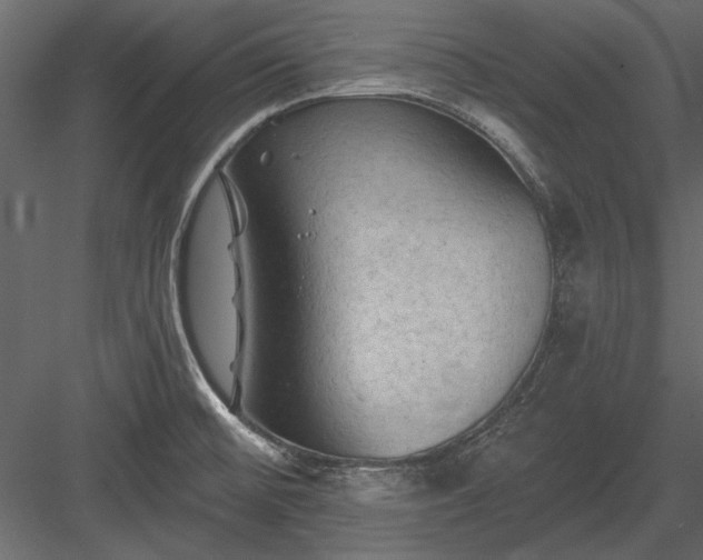 X0000084051476200702232338