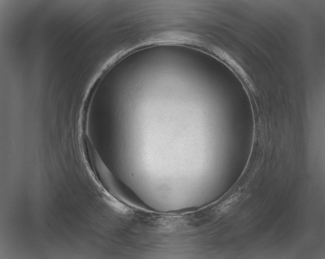 X0000084051477200702232338