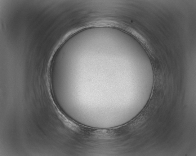 X0000084051478200702232338