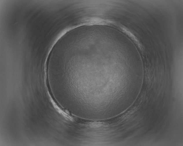 X0000084051479200702232338