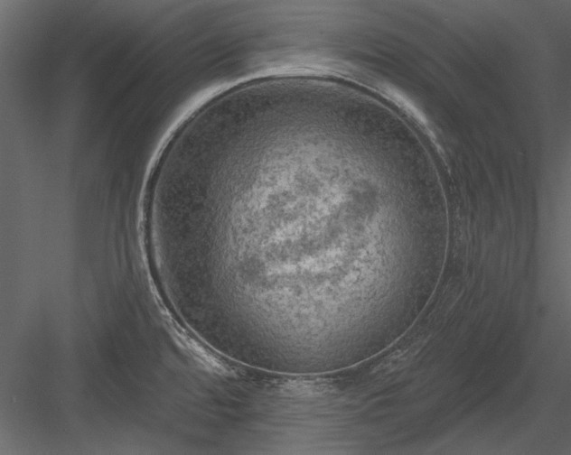 X0000084051480200702232338