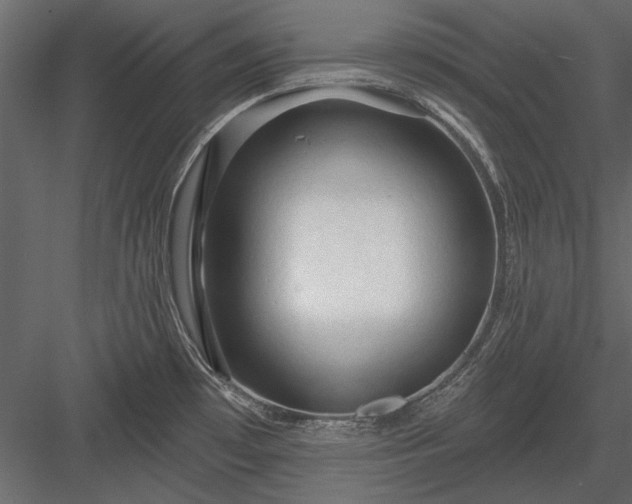 X0000084051481200702232338