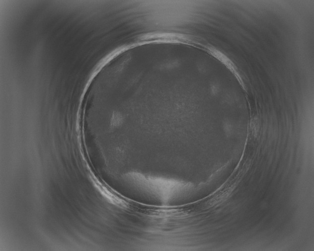 X0000084051482200702232338