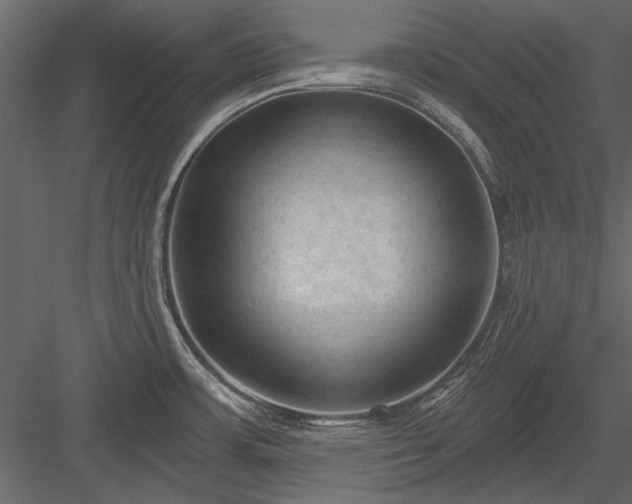 X0000084051483200702232338